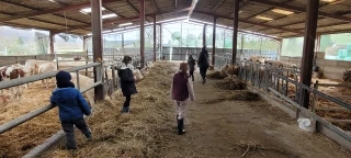 « Bienvenue les p'tits fermiers »