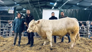 Les compteurs ont explosé