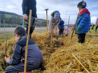 À l'école des arbres replantés