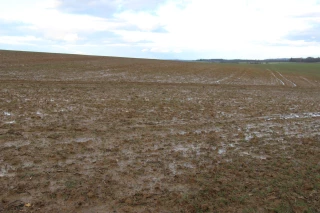 Adapter la conduite sans céder à la précipitation