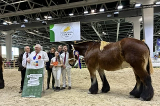 Et la championne est...