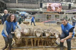 La ferme des « 0 » vaches