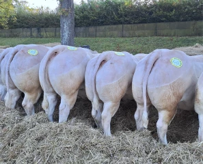 La halle gourmande : l'honneur au terroir