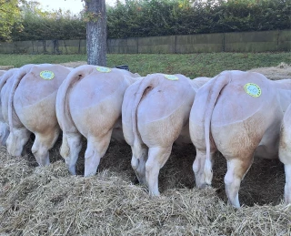 La halle gourmande : l'honneur au terroir