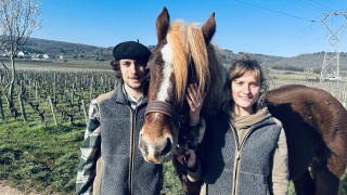 Les meneurs des Terres d'Or