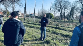 Au nord de Dijon, c'était le houblon