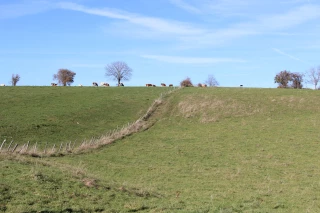 Un levier de résilience face aux aléas climatiques