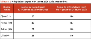 Des excès d’eau à relativiser selon les secteurs