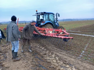 Qualité de l'air et cultures : un point sur les essais