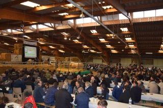 Franc succès pour la vente aux enchères de Charolles