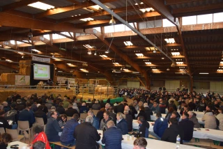 Franc succès pour la vente aux enchères de Charolles