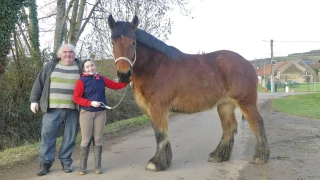 Une terre de championnes