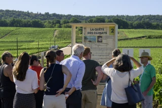 Les Climats de Bourgogne fêtent le patrimoine mondial