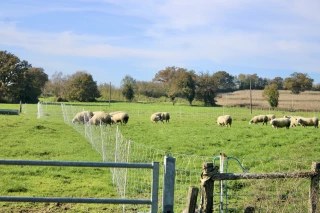 Des évolutions dans la lutte contre le loup