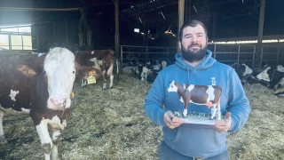 Deux vaches de Côte d'Or ont dépassé les cent tonnes