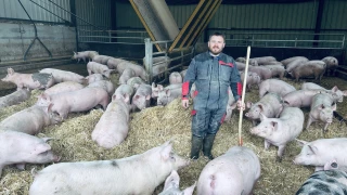 Copains comme cochons