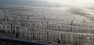 Investir pour faire de belles vendanges