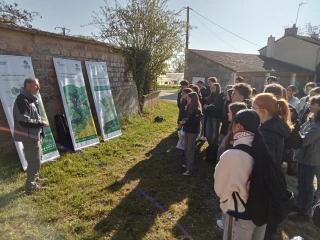 Retour sur le contrôle unique