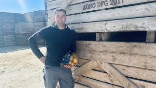 Ça y est, c'est planté