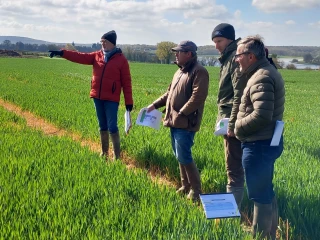 Le point sur les leviers et stratégies