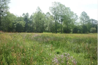 Participez à Prairies & Parcours sur la vallée de l'Armance