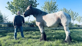 Incessamment sous peu