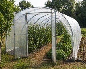 Maraîchage biologique