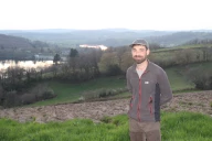 Vignes dans le Morvan