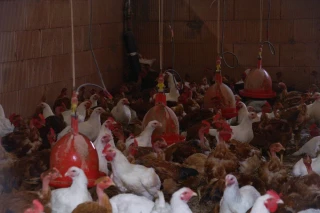 Région en déficit, opportunités à saisir...