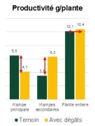 Graphique 1