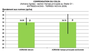Graphique 2