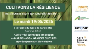 A la pêche aux idées en maraîchage et grandes cultures