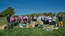 Les poireaux généreux de la Nièvre