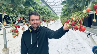 Le premier fruit de la saison