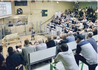 La foire aux culards de Moulins-Engilbert fait le plein