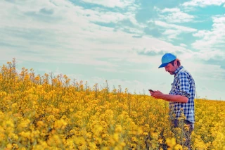 L'IA : nouvelle révolution agricole en marche