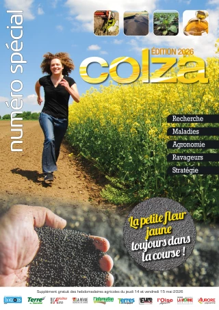  Découvrez le Spécial Colza 2026
