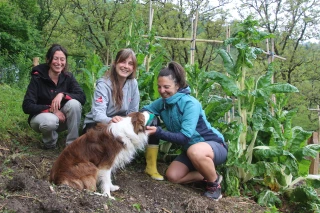 Wwoofing, ou comment apprendre en partageant