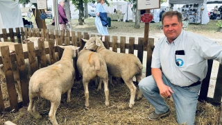 Un beau « p'tit » concours