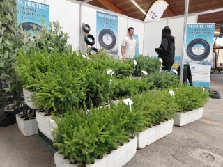 Sapin Expo, le salon du roi des forêts à la page