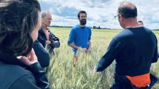 Fertiliser pour voir loin