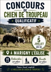 Qui sera finaliste ?
