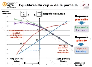 Densité de plantation : après le débat, les bases scientifiques