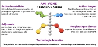 Une solution pour réduire le recours au cuivre