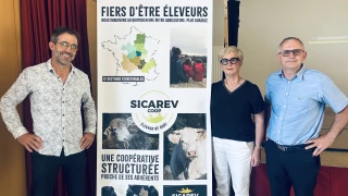 Un travail sur le persillé