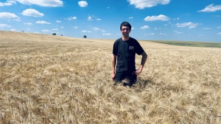 Une pauvre moisson