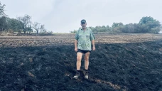 Du feu, un peu partout