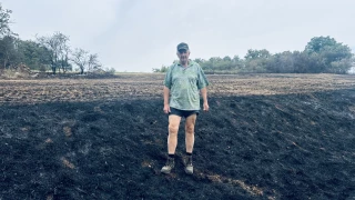 Du feu, un peu partout