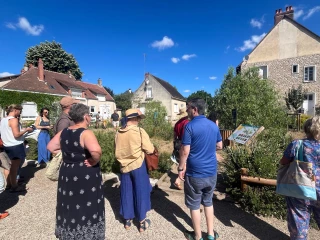 Ruralité