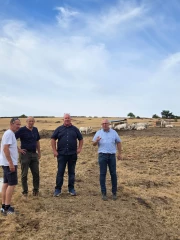 Mieux prendre en compte l'absence de pousse de l'herbe